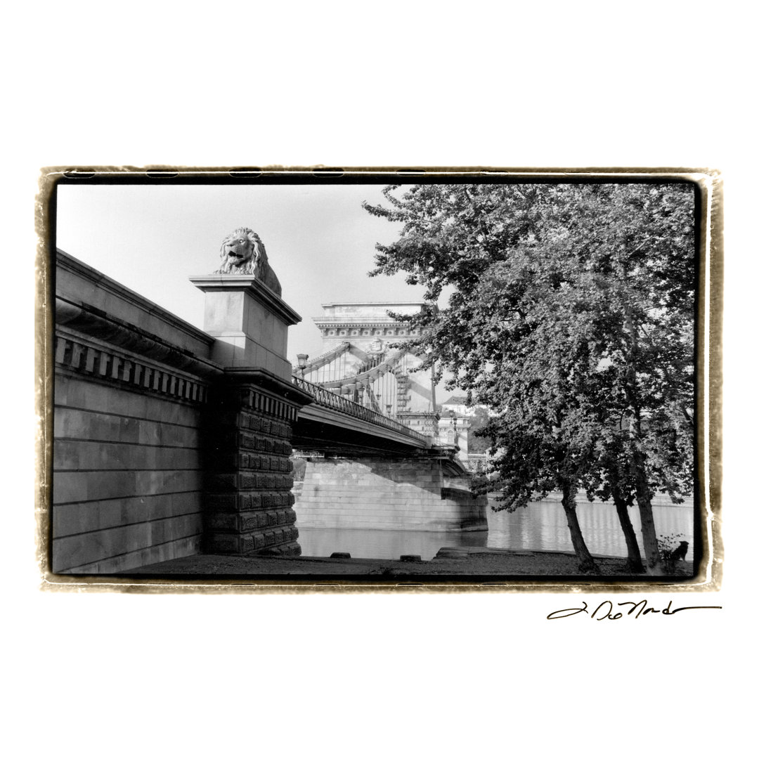 Crossing The Danube River by Laura DeNardo - Wrapped Canvas Art Prints