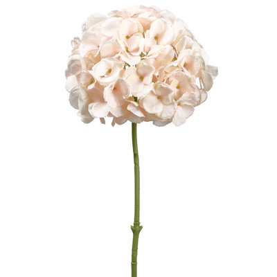 19" Blush Hydrangea Stem