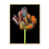 Brown Floater Framed