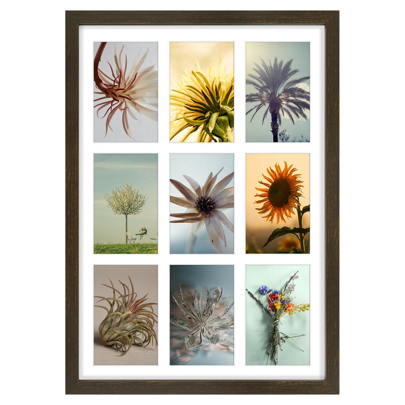 Cadre photo en bois massif, L 13,6 po x H 19,7 po, Brun
