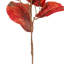 Vickerman 45" Orange Fiddle Leaf Spray. It measures 45 by 7 inches. It includes 2 pieces per bag.