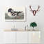 Golden-Eye Duck by John James Audubon - Wrapped Canvas-55366217