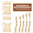 Sauna Wooden Backrest with Height-Adjustable Neck Pillow - Non-Slip, Water Resistant (Indoor/Outdoor)