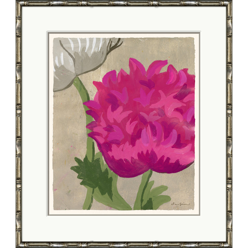 Pink Dahlia