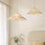 1 Brushed Brass Pendant
