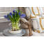 3-in-1 Glass Bloom Vase-1909190253