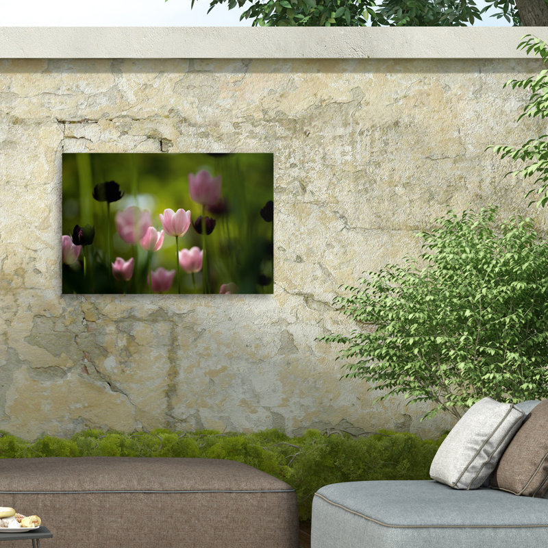 Tulipes bolognaises sur toile, H 16 po x l 24 po