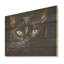 Beauté birmane, chat noir I - art mural en bois sur bois de pin naturel-101403452