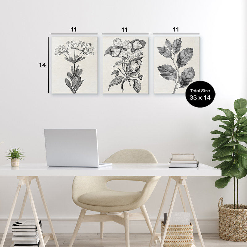 Ensemble de 3 toiles Classic Natural Botanicals, design par Karen Smith, H 14 po x l 33 po
