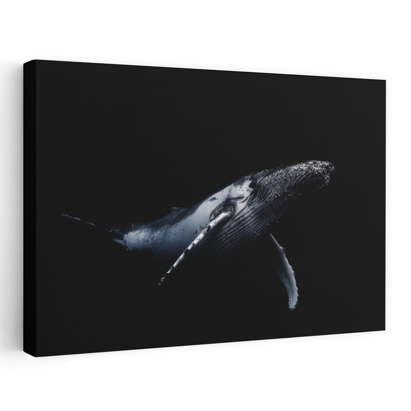 Humpback Whale Deep Blue Serene Contemporary Whale Nature Ocean Wall Art Print 1 Piece Wrapped Canvas Wall Art