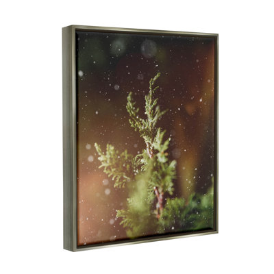 " Winter Snowfall Night Pine Tree "
