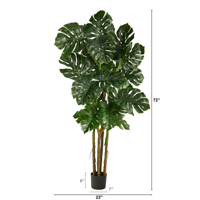 Tree in Pot Liner