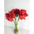 Amaryllis Arrangement in Vase
