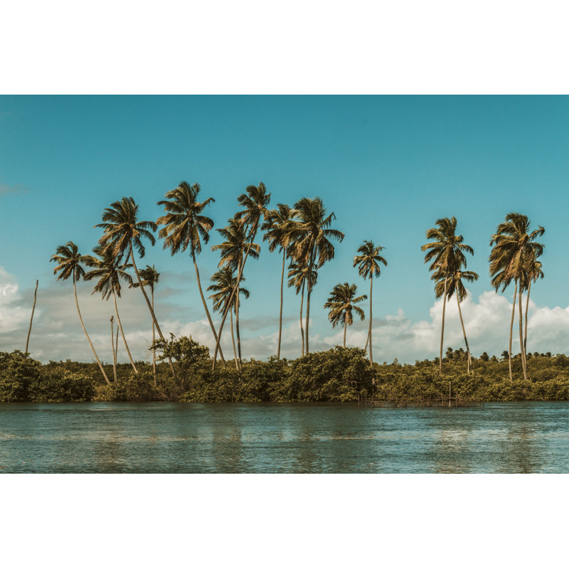 Brazilian Vibes by Walmor Santos - Wrapped Canvas Print, 51cm H x 76cm W