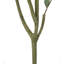 Eucalyptus artificiel en pot-1744484046