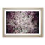 Pink Cherry Blossoms - Picture Frame Painting Print-55583614-55583615