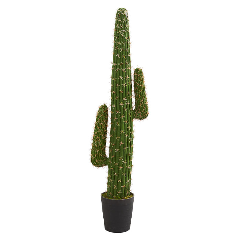54'' Faux Cactus Plant in Planter