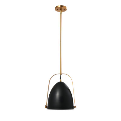 Luminaire suspendu en dome à 1 lumière