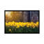 Lueur jonquille-35539630-72453774-72395724