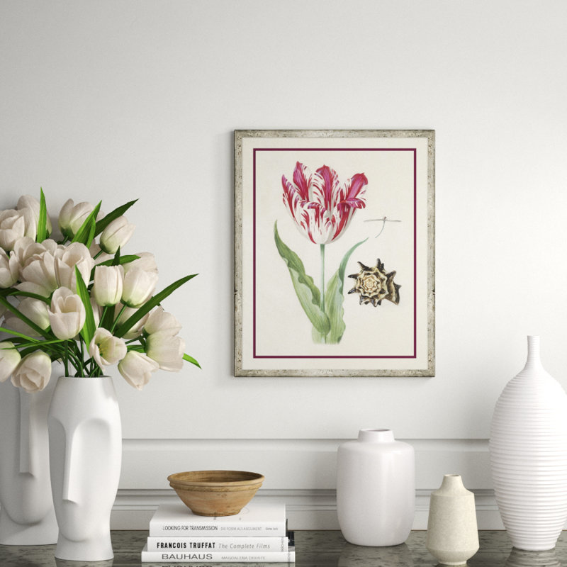 Flower, Seashell And Insect II Giclee Print