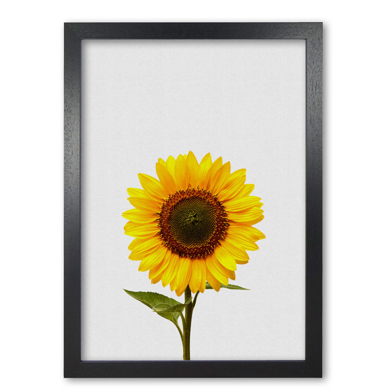 Sunflower Still Life - Print, Black Grain Frame, 60 cm H x 42 cm W x 5 cm D