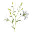 Garden Floral Faux Floral-974745278