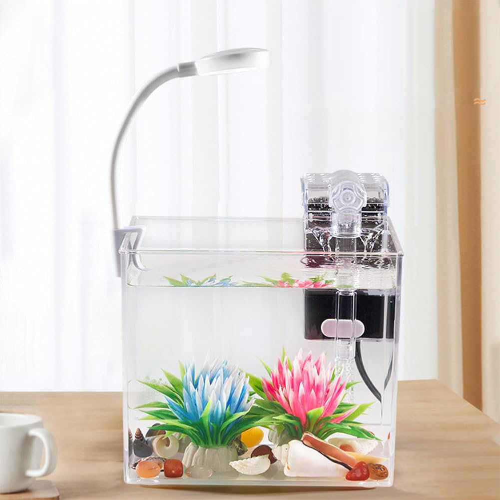 View of Ivy Bronx Fish Tank Starter Kits, Fish Aquarium with LED Light ...