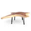 Solid Wood Coffee Table