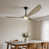 Light Walnut