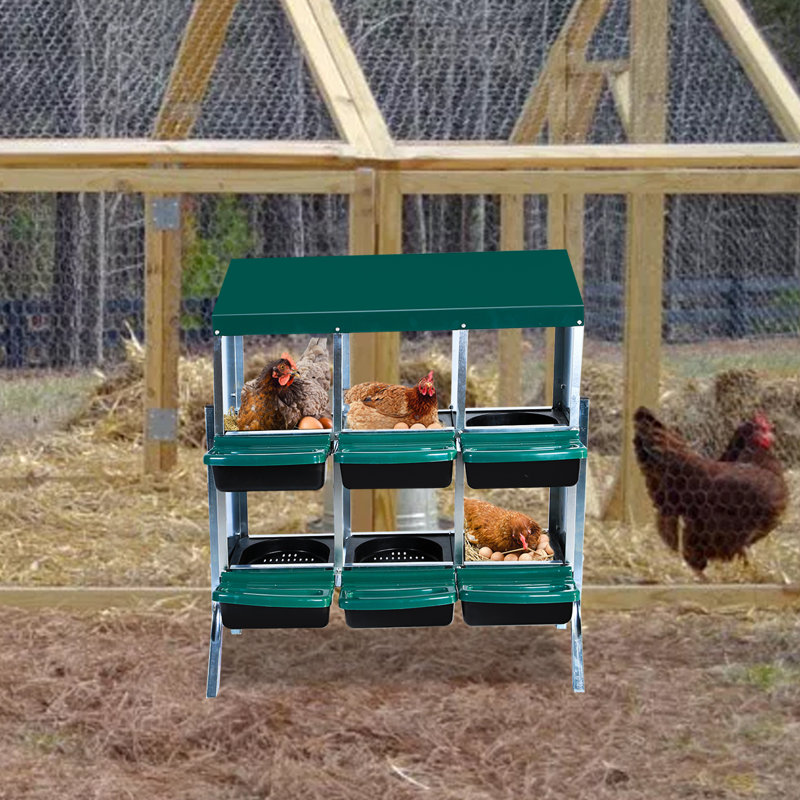 Nichoirs pour poules, poulaillers pour 6 poules pondeuses, 6 compartiments, poules pondeuses, nichoirs avec pieds, cage en acier galvanisé à 6 trous pour poules, vert
