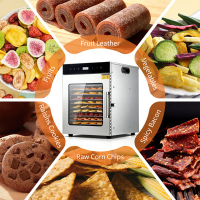 10-Tray Digital Food Dehydrator with Adjustable Temperature, Timer & Auto Shut-Off, Stainless Steel Trays for Jerky, Fruits, Vegetables, Herbs, and Meat