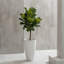 Jardinières en pot-777671177-777671179-671843974