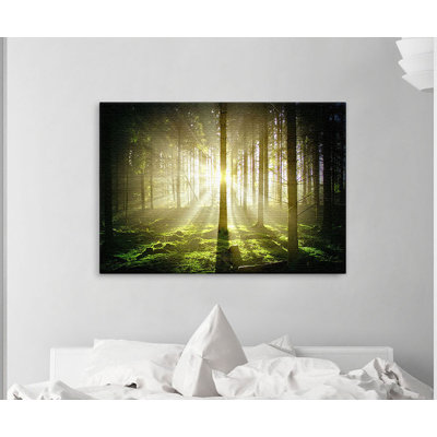 Forest Dark - Print on Canvas