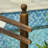 Bridge-66130036
