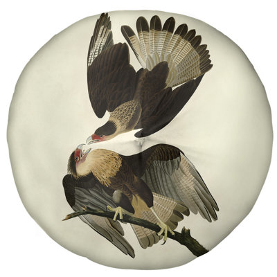 Coussin de plancher john james audubon brasilian caracara eagle