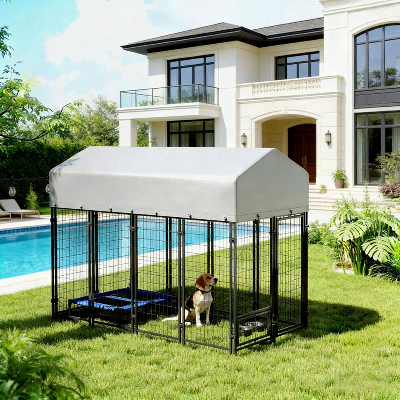 Chenil pour animaux spacieux et extérieur