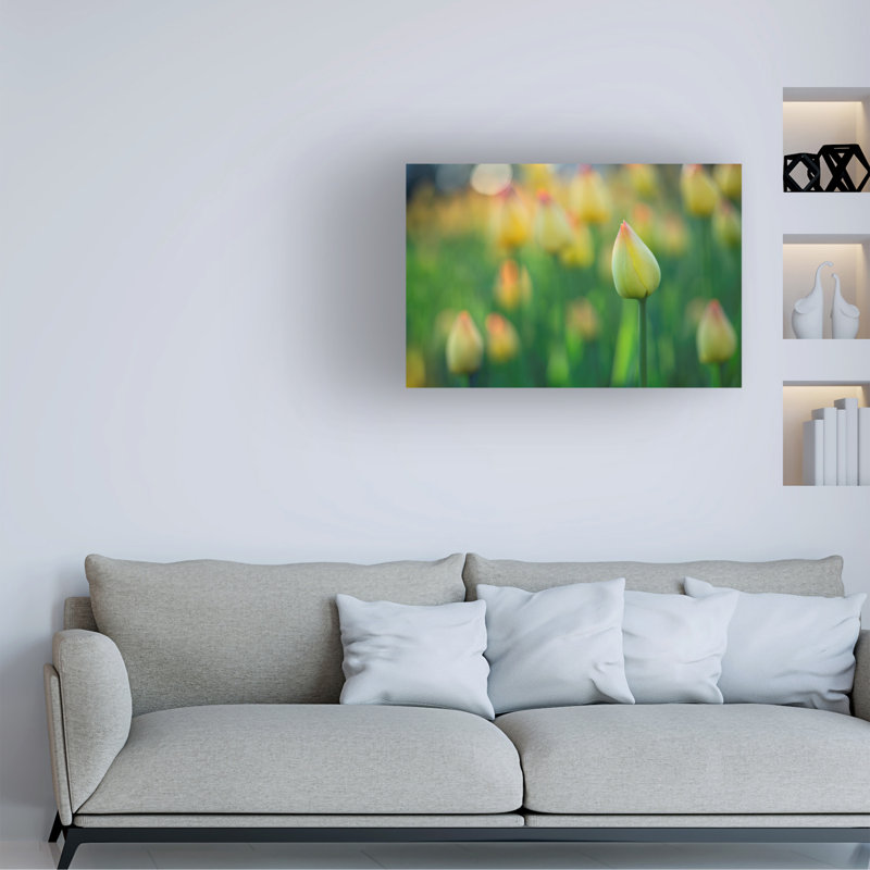 Art sur toile Suzanne Bonin, 30" H x 47" W