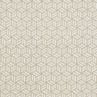 Schumacher x Miles Redd Tumbling Blocks Fabric