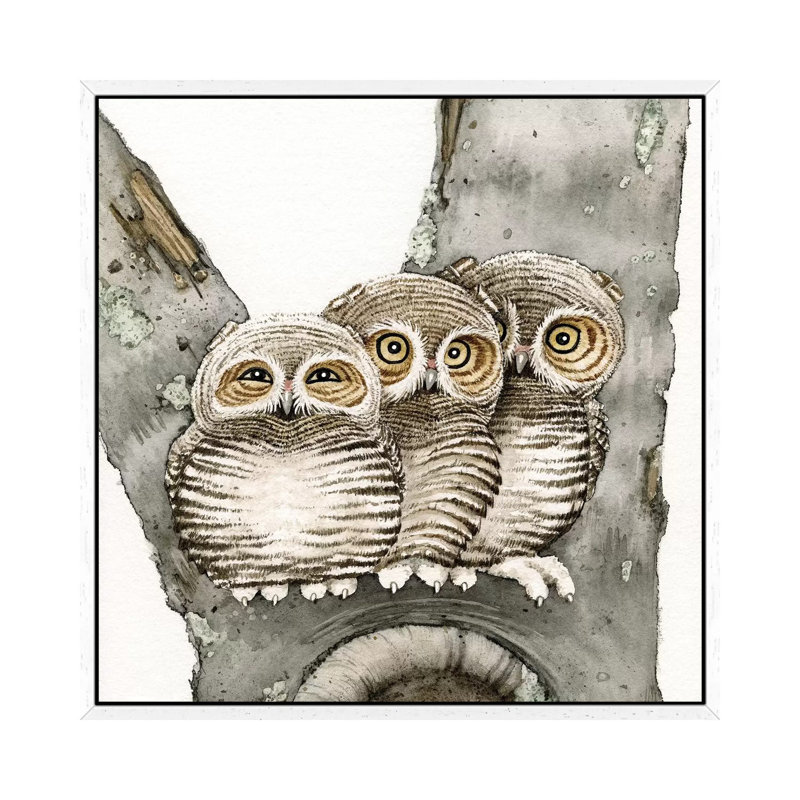 Three Owls by Tracy Lizotte - Painting on Canvas, White Framed, 93.98cm H x 93.98cm W x 3.81cm D
