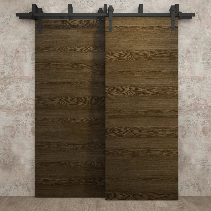 Portes coulissantes de grange coulissantes pour garde-robe | Ego 5000 | Ensemble de quincaillerie Modern Rails | Portes de garde-robe de chambre en bois massif