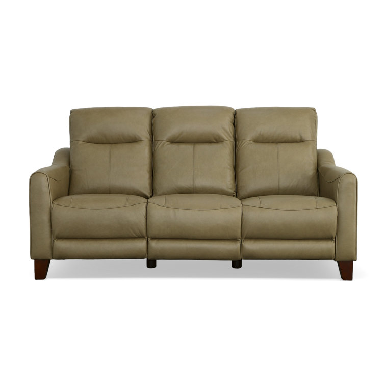 Campania Brown Top-grain Leather LED Power Recliner
