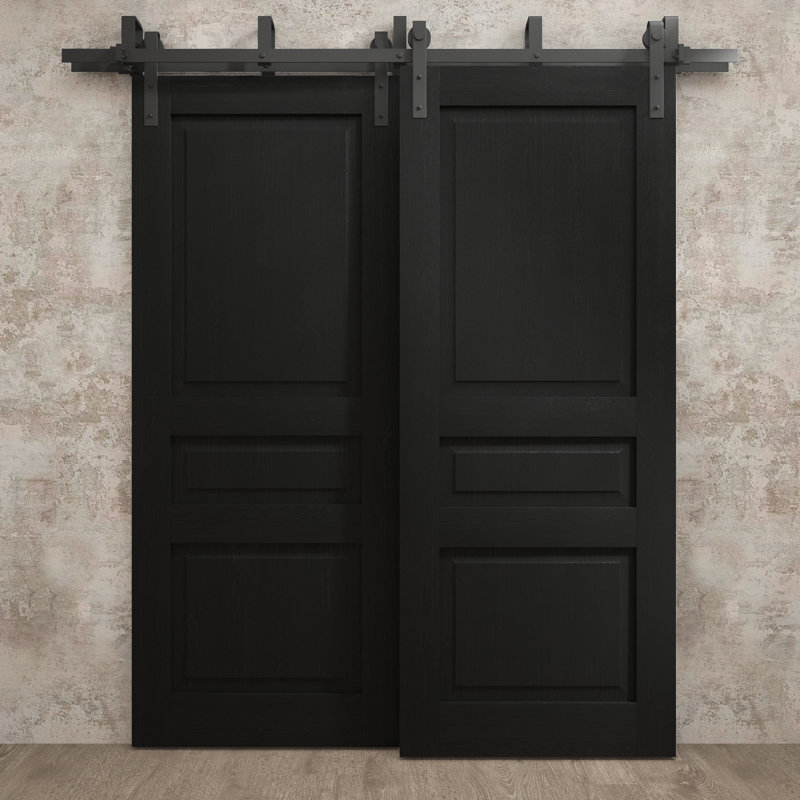 Portes coulissantes de grange coulissantes pour garde-robe | Ego 5012 | Ensemble de quincaillerie Modern Rails | Portes de garde-robe de chambre en bois massif