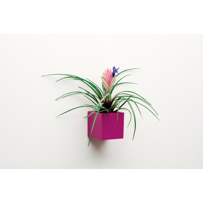 Metal Bracket Plant Stand