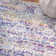 Sonlin Floral Indoor Rug