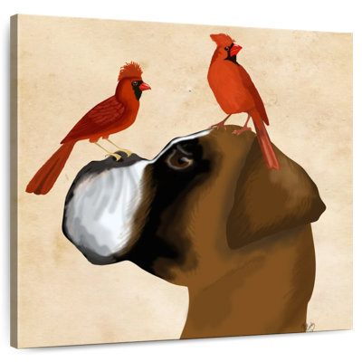 Boxer Brampt et cardinaux rouges