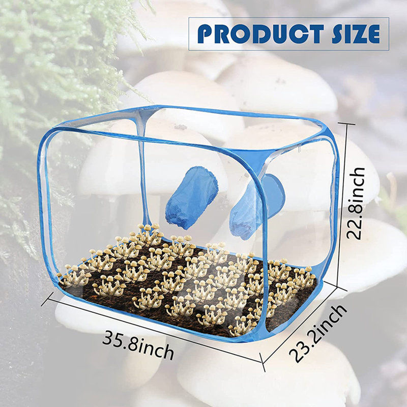 Mushroom Growing Still Air Box