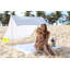 Miasun Portable Sun Shade Beach Tent