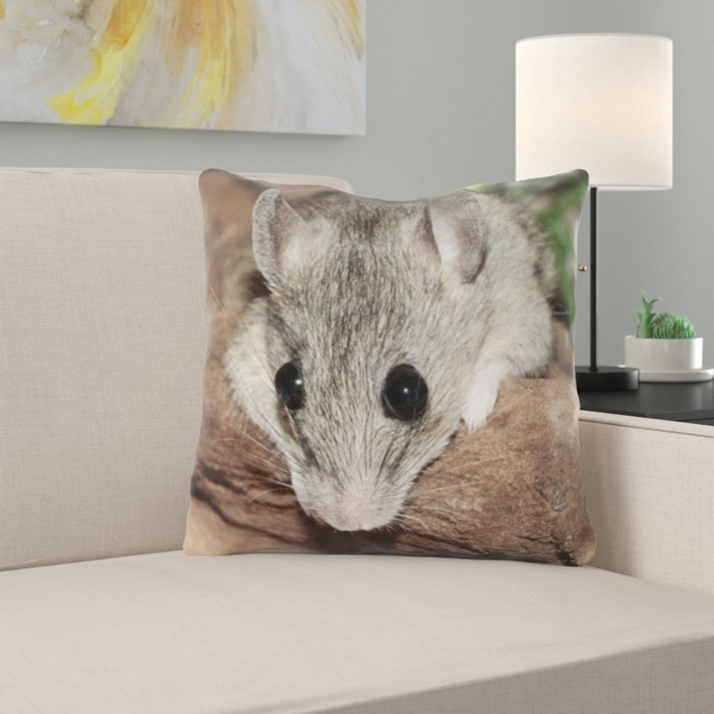 Coussin mastomys