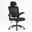 Ergonomic Office Chair,High Back Desk Chair with Flip-Up Armrest and Adjustable Lumbar Support,Computer Chair for and Office