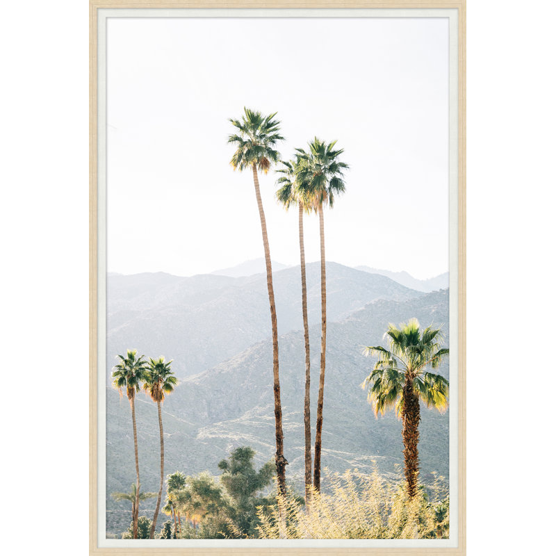 Palmcrest Horizon